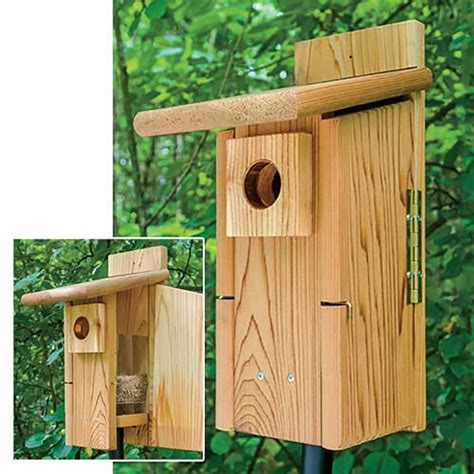 bluebird nesting box hole protectors